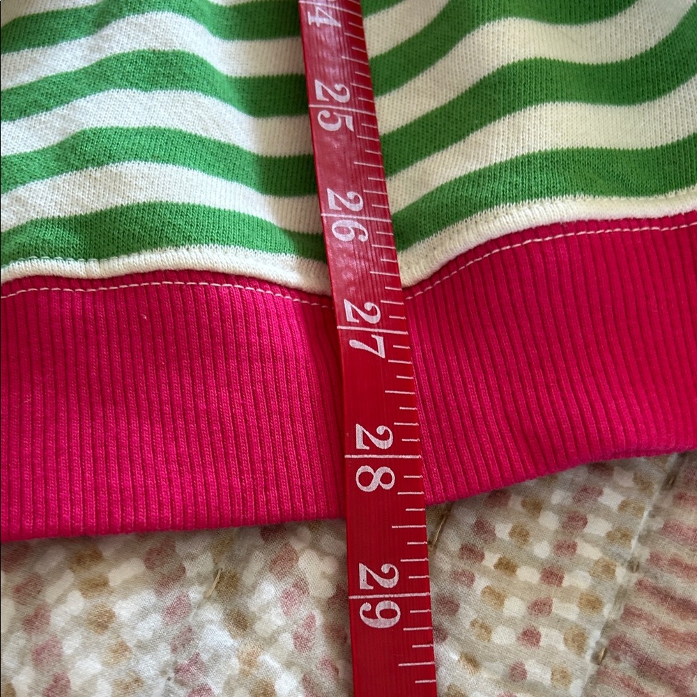 We The Free (Free People) Green and White Stripe Sweatshirt with Pink Trim - Picture 5 of 6
